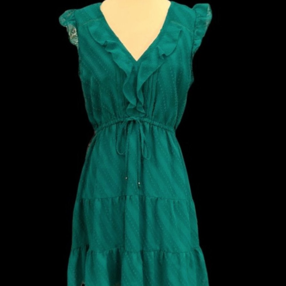 Anthropologie HD in Paris Ruffle Dot Signe Dress
